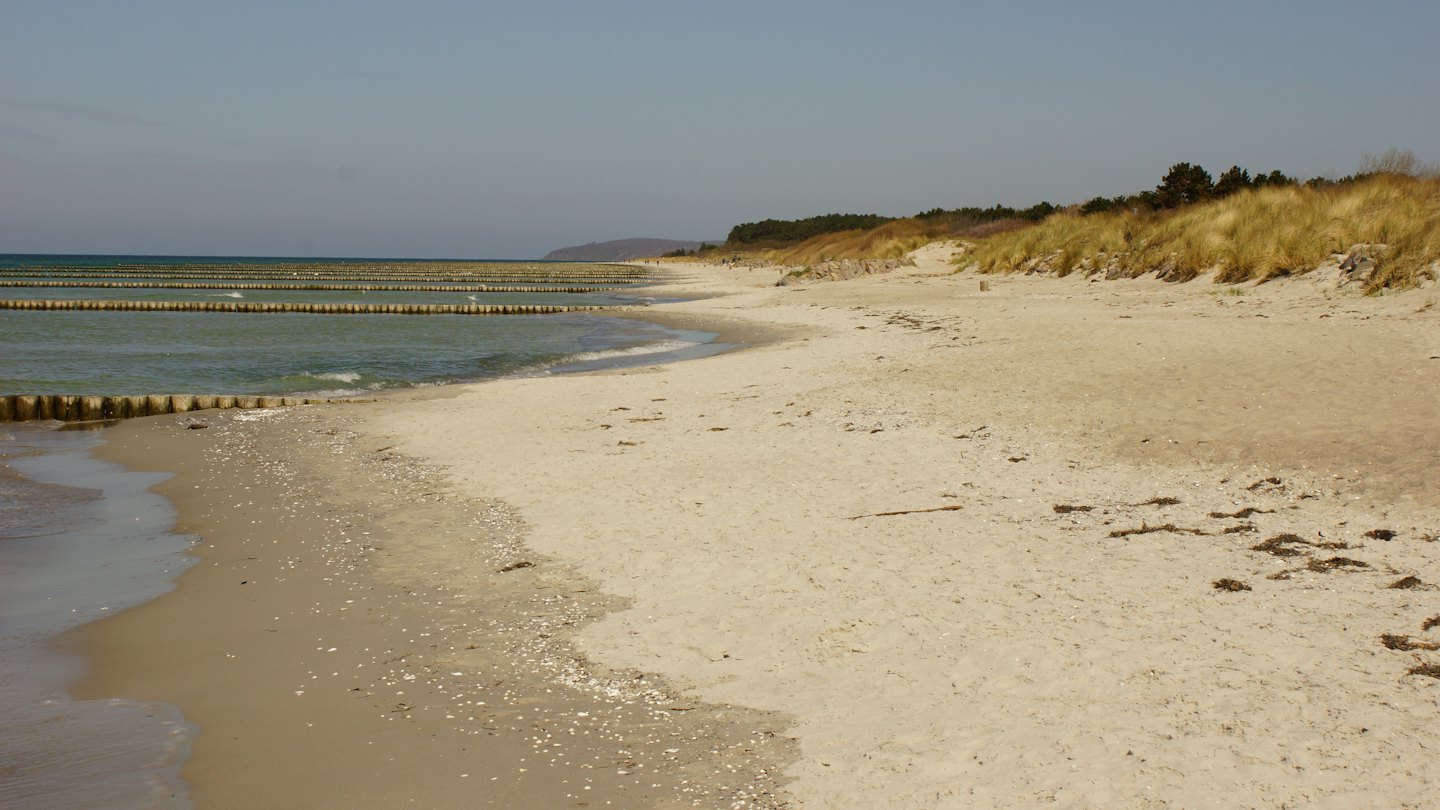 Hölzerne Buhnen ragen von einem Sandstrand ins Meer.
