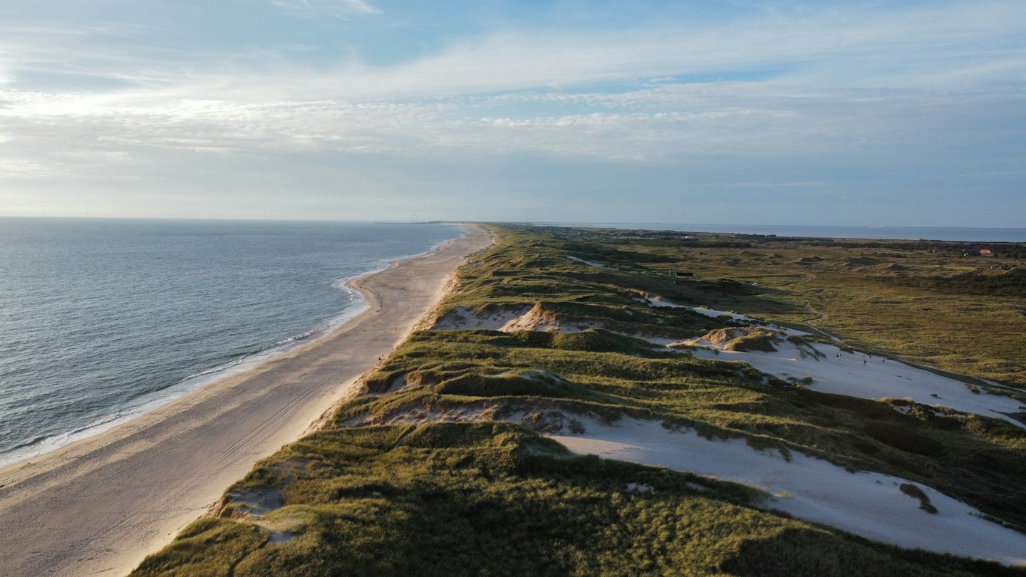 Ein Sandstrand schwingt sich entlang des blauen Ozeans in der Nähe von Dünen.